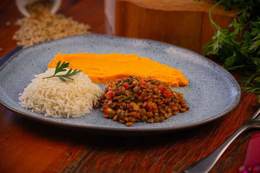 Lentilhas Temperadas à Páprica c/ Arroz e Purê de Cenoura